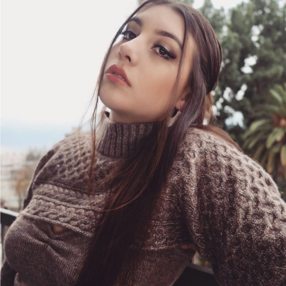 ASTR The Label Turtleneck Sweater